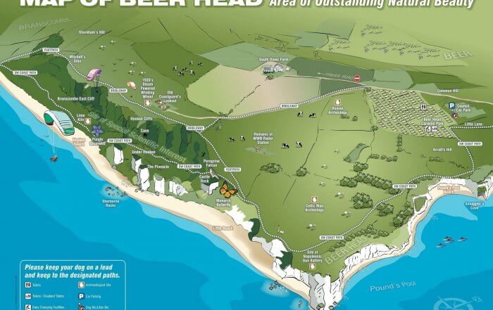 Beer head map